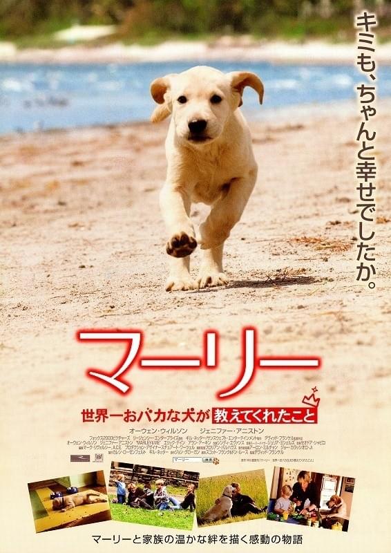 マーリー　世界一おバカな犬が教えてくれたこと